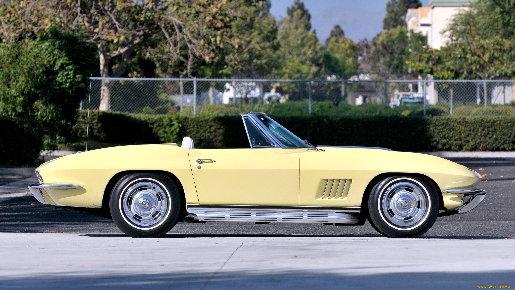 corvette, , gm, chevrolet, division, 